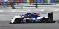 Lando Norris, Fernando Alonso