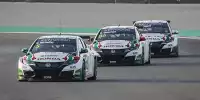 Bild zum Inhalt: Honda wäre nach 2017 aus der WTCC ausgestiegen