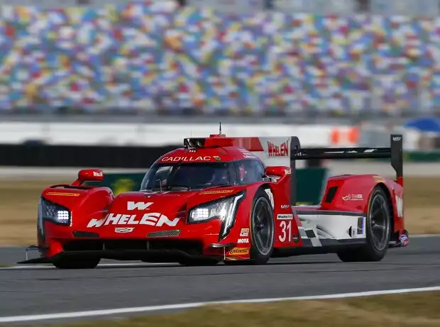 Mike Conway, Felipe Nasr Titel-Bild zur News: Mike Conway, Felipe Nasr