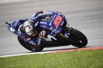 Maverick Vinales (Yamaha)