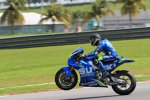 Alex Rins (Suzuki) 