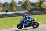 Alex Rins (Suzuki) 