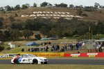 Marco Wittmann und Augusto Farfus 