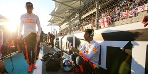 Webber über Ricciardos Zukunft: "Zuerst Verstappen schlagen"