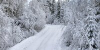 Bild zum Inhalt: Eisiger Winter: Perfekte Bedingungen für die Rallye Schweden