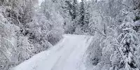 Bild zum Inhalt: Eisiger Winter: Perfekte Bedingungen für die Rallye Schweden