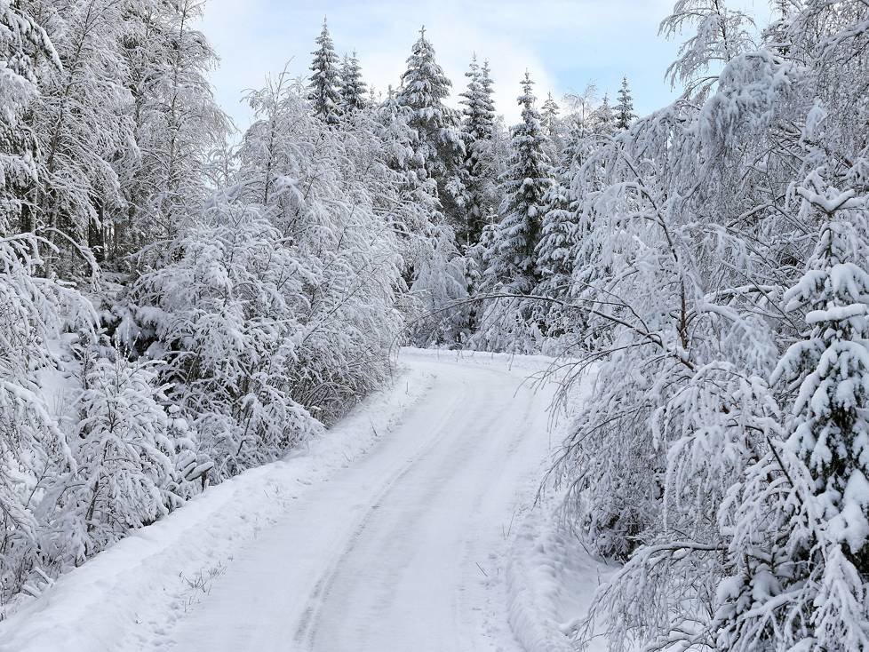 Rallye Schweden