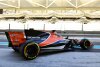 Bild zum Inhalt: McLaren-Formel-1-Team will keinen Titelsponsor