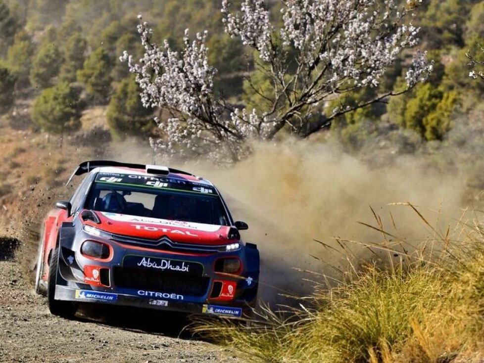 Sebastien Loeb