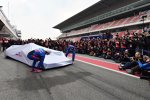 Brendon Hartley (Toro Rosso) und Pierre Gasly (Toro Rosso) 