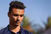 Bild zum Inhalt: Sauber: Mercedes-Junior Wehrlein mit Alfa Romeo undenkbar