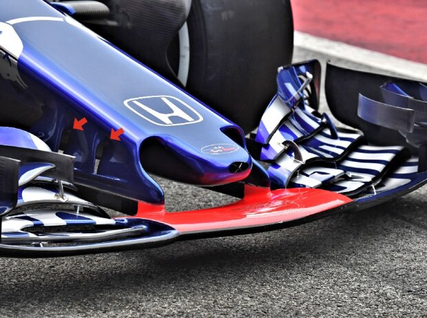 Toro Rosso, Nase