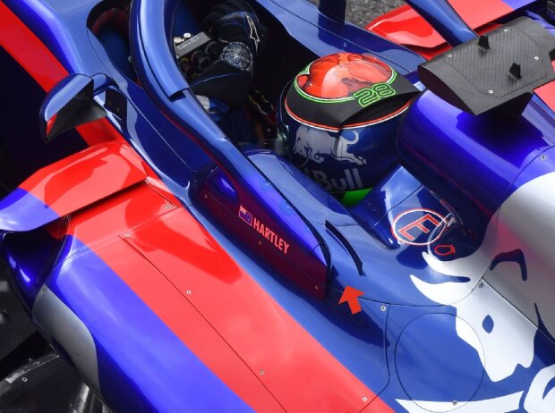 Toro Rosso, Halo Toro Rosso, Halo