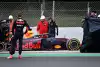 Bild zum Inhalt: Trotz Verstappen-Crash: Red Bull sieht sich als Mercedes-Jäger