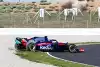 Bild zum Inhalt: Toro Rosso: Ereignisreicher Testtag für Hartley