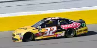 Matt DiBenedetto