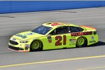 Paul Menard (Wood) 