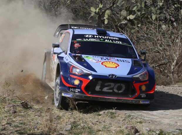 Thierry Neuville, Nicolas Gilsoul