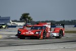 Mike Conway (Toyota) und Felipe Nasr 