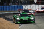 Scott Sharp, Ryan Dalziel und Olivier Pla (Ford) 