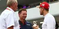 Bild zum Inhalt: Red Bull 2019: Wer kommt, wenn Daniel Ricciardo geht?