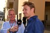 Rosberg als TV-Experte: Muss sich Hamilton warm anziehen?