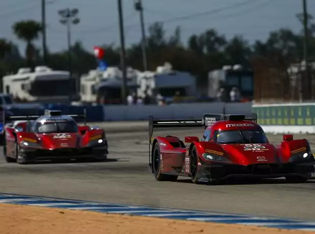 Spencer Pigot, Harry Tincknell Titel-Bild zur News: Spencer Pigot, Harry Tincknell