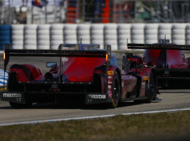 Spencer Pigot, Harry Tincknell