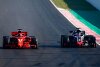 Bild zum Inhalt: Haas bestätigt Erwartung: Alonso staunt über "Ferrari-Replika"