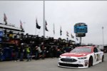Paul Menard (Wood) 