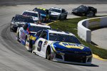 Chase Elliott (Hendrick) 