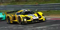 Thomas Mutsch, Andrea Piccini