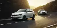 Bild zum Inhalt: Skoda Fabia R5 2018: Info zu Preis & Daten des Sondermodells