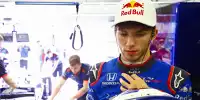 Pierre Gasly, Brendon Hartley