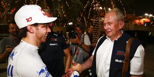 Tänzchen bei Toro Rosso: Pierre Gasly jetzt ein "richtiger Kerl"