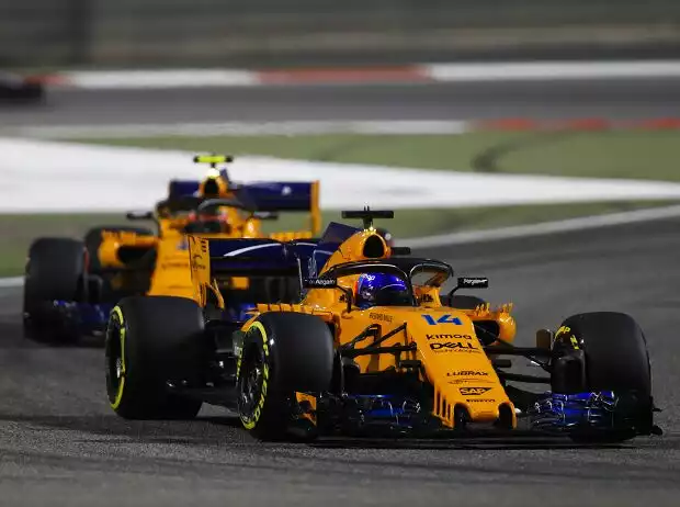 Fernando Alonso, Stoffel Vandoorne Titel-Bild zur News: Fernando Alonso, Stoffel Vandoorne
