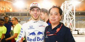 Noten Bahrain: Gasly für Marc Surer "Mann des Rennens"