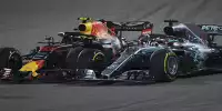 Bild zum Inhalt: Hamilton vs. Verstappen: "Alonso oder ich hätten gepunktet"