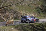 Andreas Mikkelsen (Hyundai) 