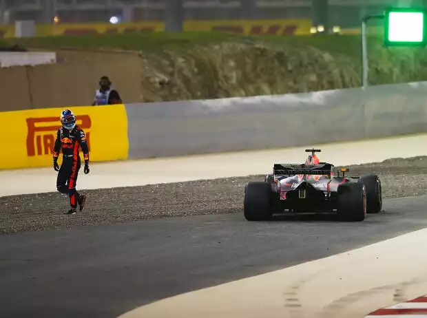 Daniel Ricciardo Titel-Bild zur News: Daniel Ricciardo