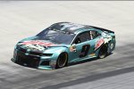 Chase Elliott (Hendrick) 