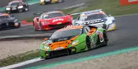 Andrea Caldarelli, Mirko Bortolotti