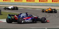 Bild zum Inhalt: Ratlosigkeit bei Toro Rosso: Wie konnte man so abstürzen?