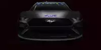 Bild zum Inhalt: NASCAR 2019: Ford bringt den Mustang