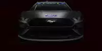 NASCAR Mustang