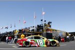 Kyle Busch (Gibbs)