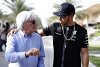 Bild zum Inhalt: Mercedes reagiert auf Ecclestone-Kritik an Hamilton