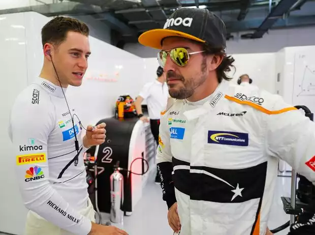 Stoffel Vandoorne, Fernando Alonso Titel-Bild zur News: Stoffel Vandoorne, Fernando Alonso