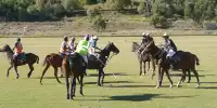 Bild zum Inhalt: Laureus: Polo in Südafrika