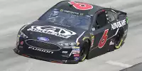 Trevor Bayne